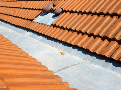About Leaking Skylight Repair Pros Webster, IN
